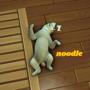 noodle